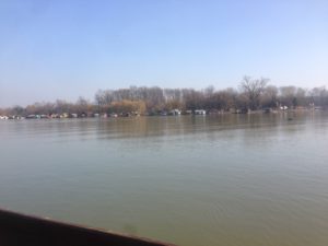 Sava River