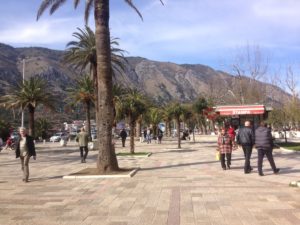 Kotor - In front of Old Town