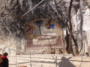 Ostrog Monastery - Vine growing out of rock