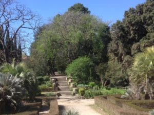 Jardin des plantes