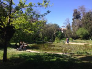 Jardin des plantes