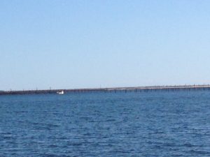 Bouzigues - Oyster farm