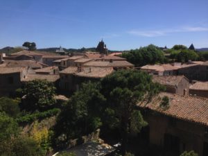 View from the palace