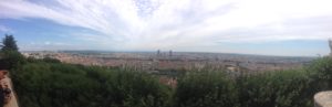 View from La Basilique Notre Dame de Fourvière