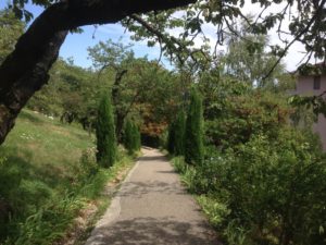 On the way to the rose garden of La Basilique Notre Dame de Fourvière