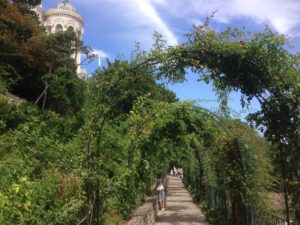 Rose garden of La Basilique Notre Dame de Fourvière