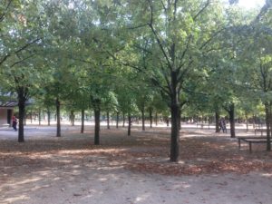 Le Jardin du Luxembourg