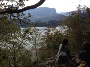 Lake Bled from Blejski Grad