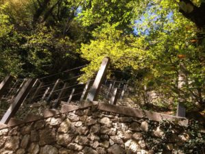 Path up to Bled Castle