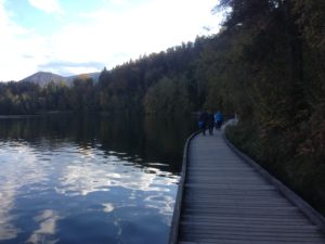 Lake Bled