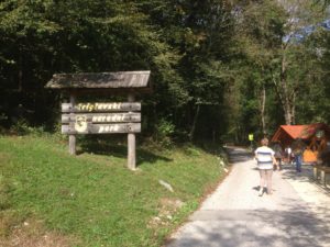 Tolmin Gorges