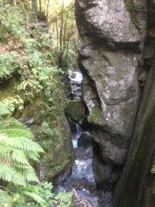 Tolmin Gorges