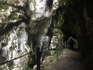 Tolmin Gorges