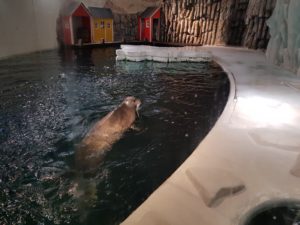 Brest - Océanopolis Aquarium