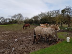 Frederic and Sylvie's farm