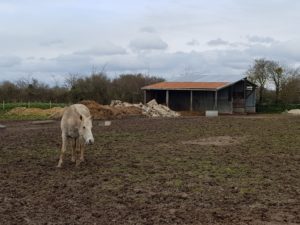 Frederic and Sylvie's farm