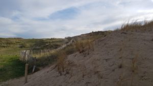 Sand dunes of Biville