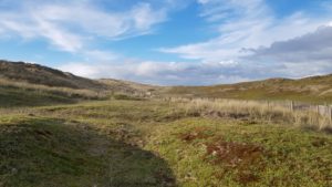 Sand dunes of Biville