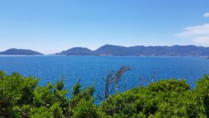 View from Castello di Lerici