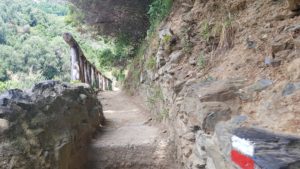 The trail between Monterosso al Mare and Vernazza