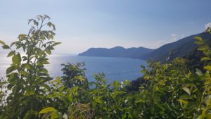 View from Corniglia