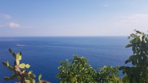 View from Corniglia