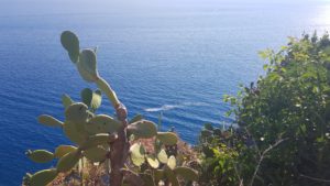 View from Corniglia