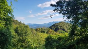 Scenery on the Via Francigena trail