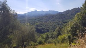 Scenery on the Via Francigena trail