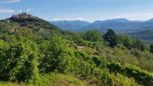 Scenery on the Via Francigena trail