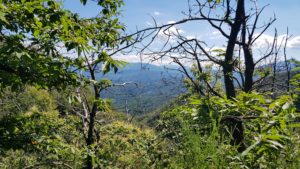 Via Francigena trail